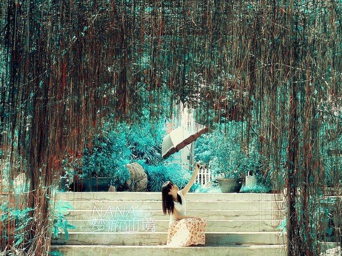 错过等一年！这两样年菜赶紧“私人定制”起来｜爱申活暖心春